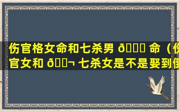 伤官格女命和七杀男 🐋 命（伤官女和 🐬 七杀女是不是娶到倒霉了）